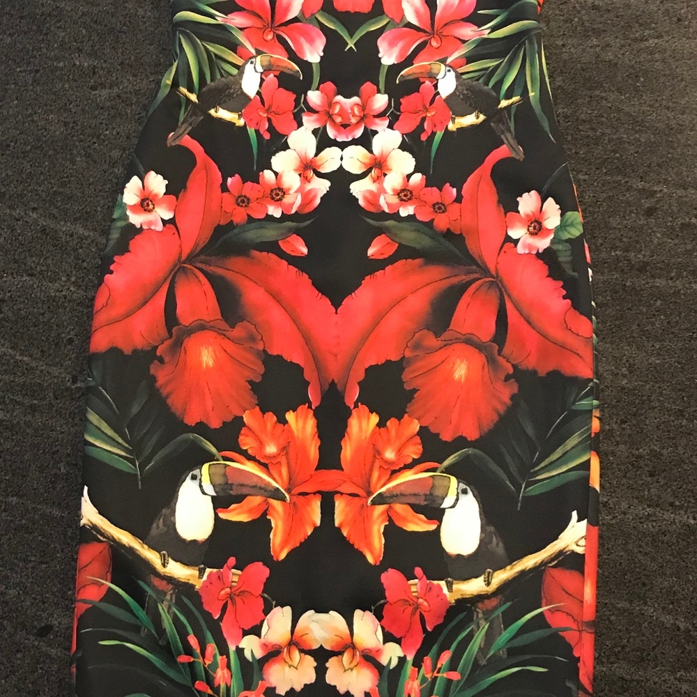 TED BAKER DRESS : BRAND NEW